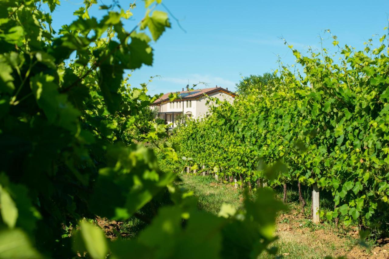 Вилла Relais La Dolce Vite San Vendemiano Экстерьер фото