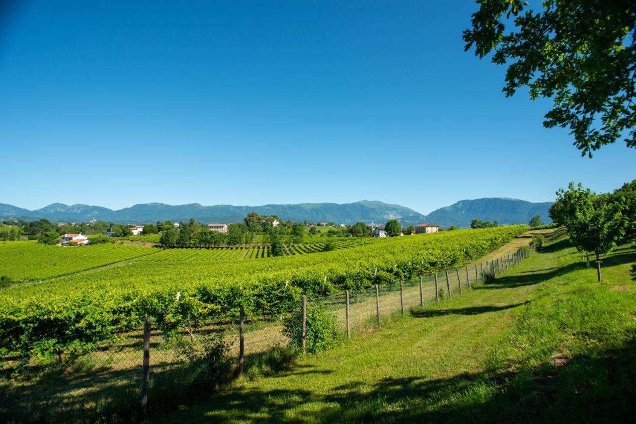 Вилла Relais La Dolce Vite San Vendemiano Экстерьер фото